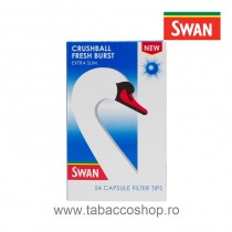 Filtre Swan Extra Slim...